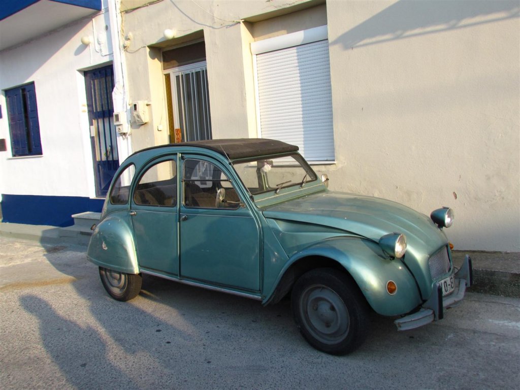 IMG_7747 (Large).JPG