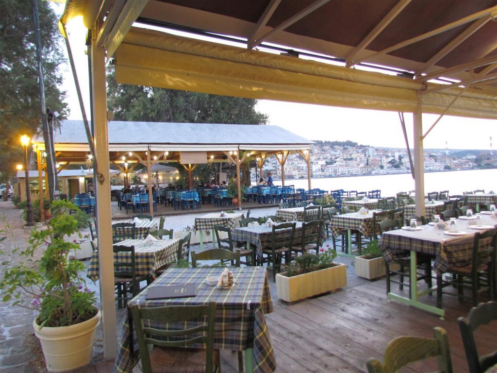 IMG_7790 (Large).JPG