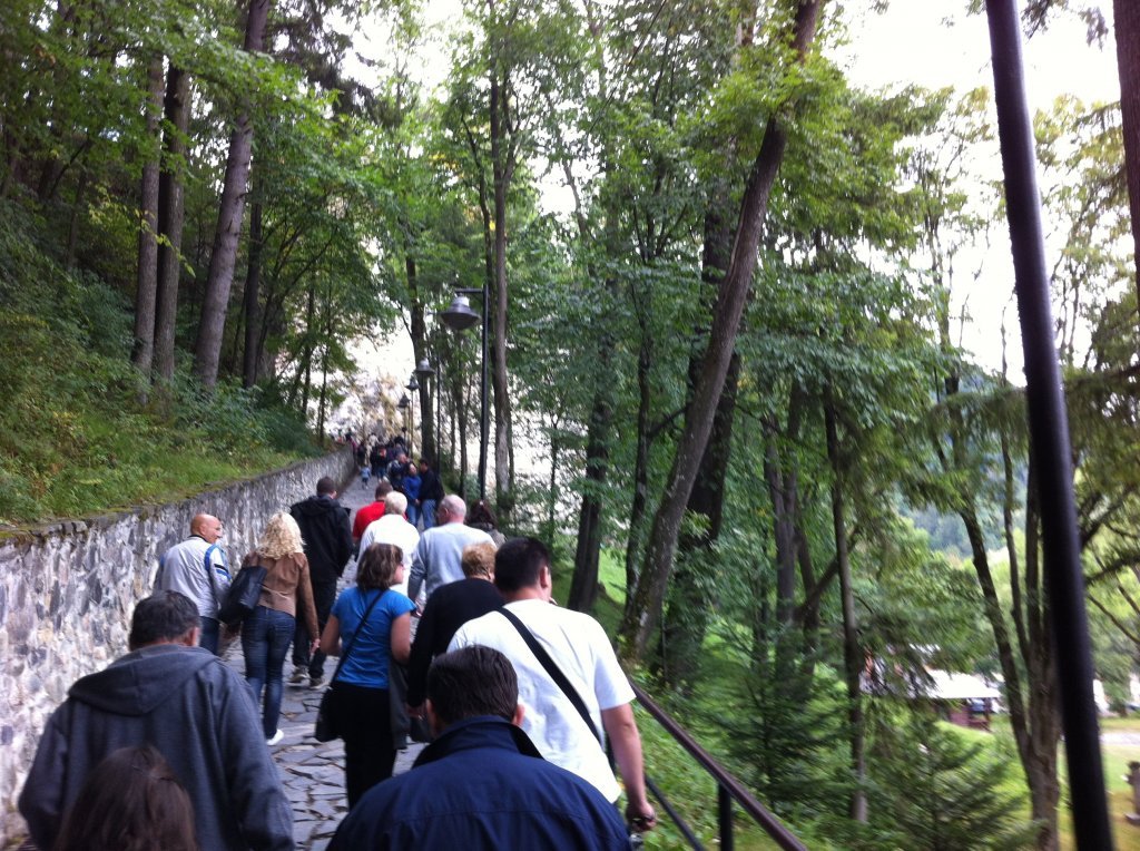 IMG_7795.JPG