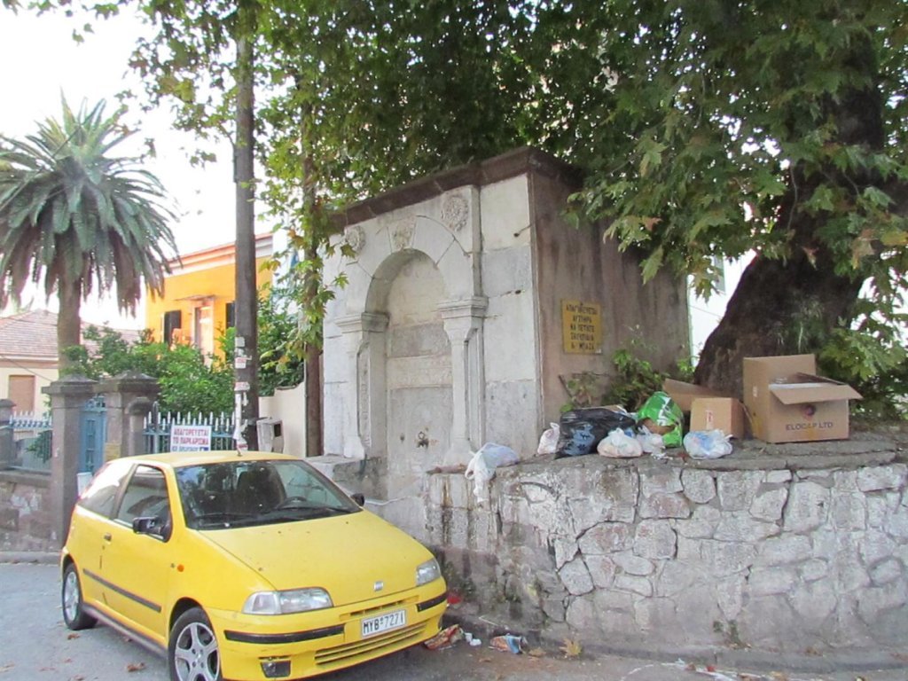 IMG_7822 (Large).JPG