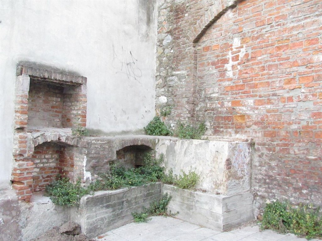 IMG_7831 (Large).JPG