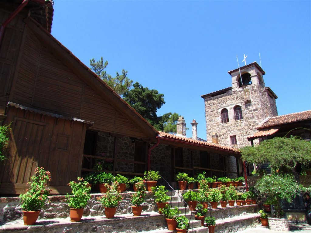 IMG_7919 (Large).JPG