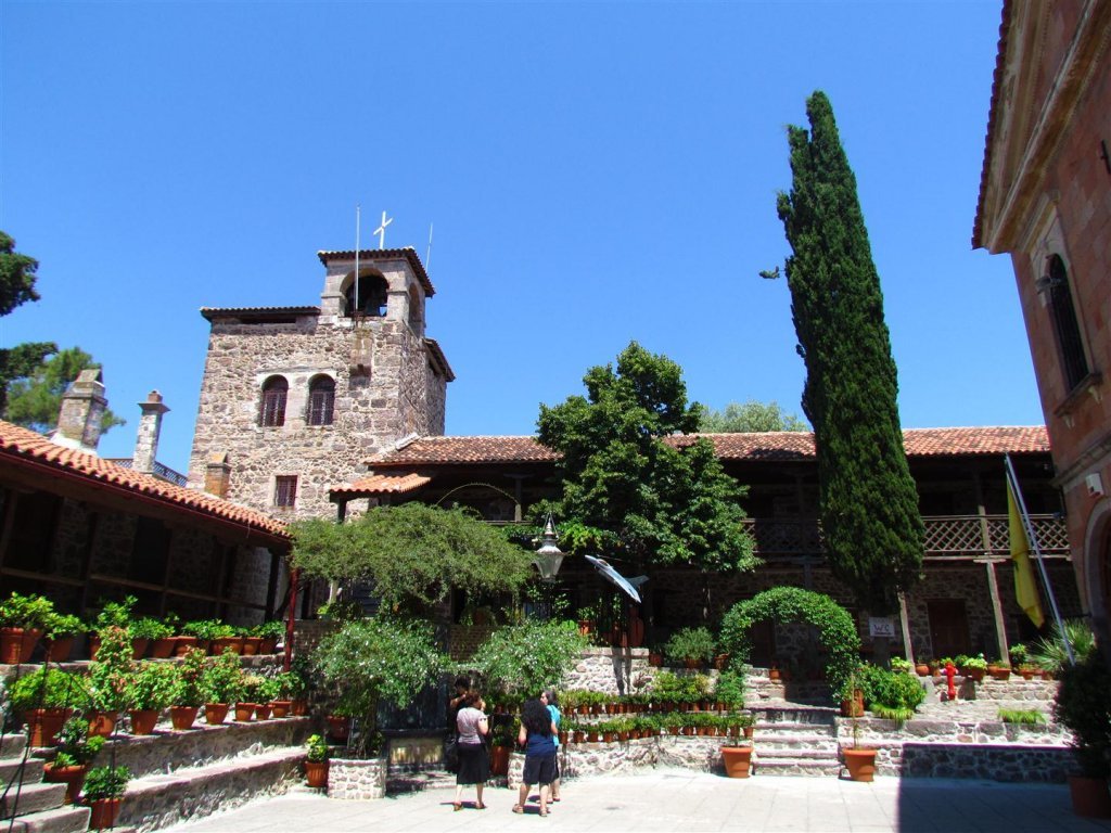 IMG_7920 (Large).JPG