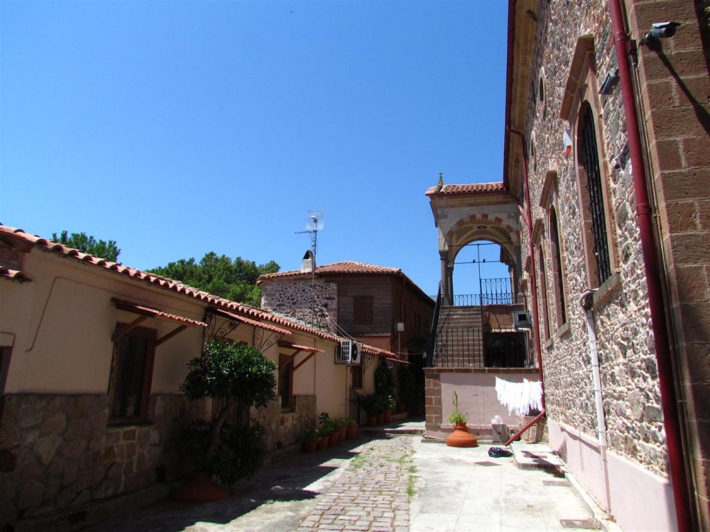 IMG_7927 (Large).JPG