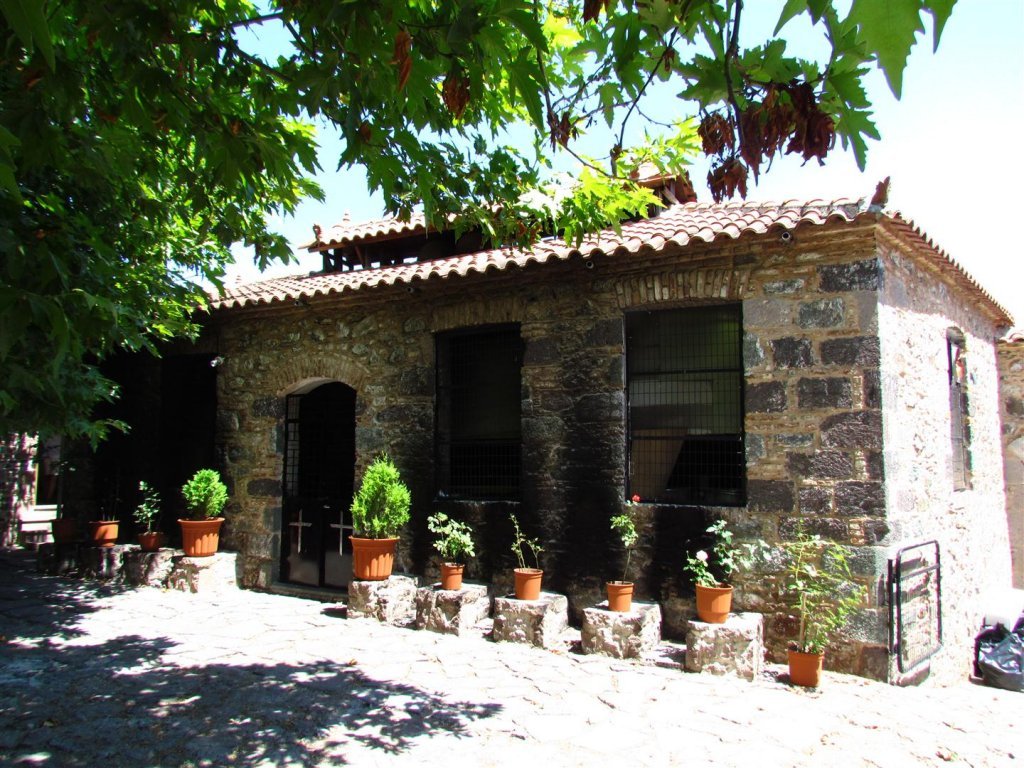 IMG_7929 (Large).JPG