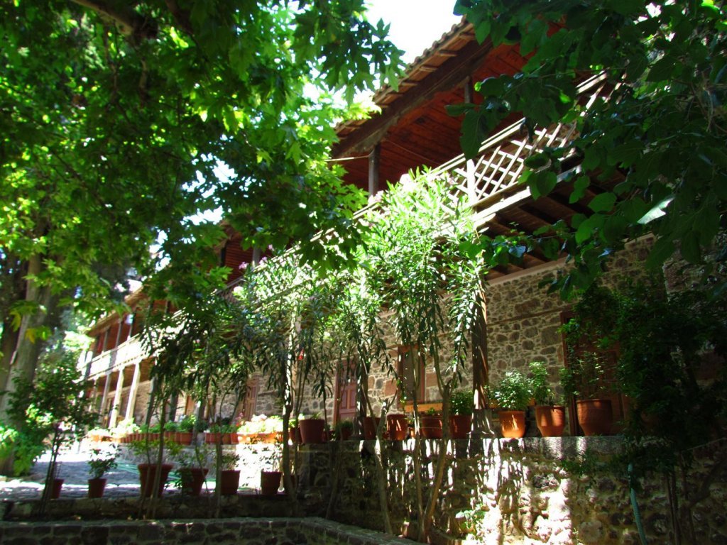 IMG_7930 (Large).JPG