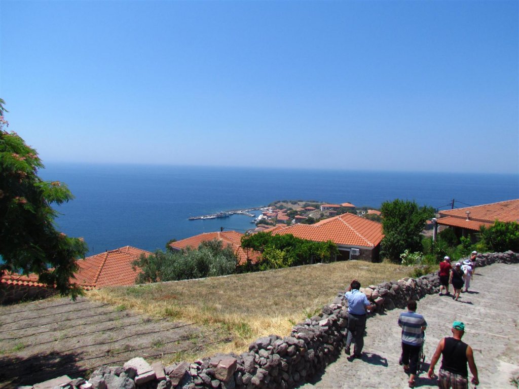 IMG_7940 (Large).JPG