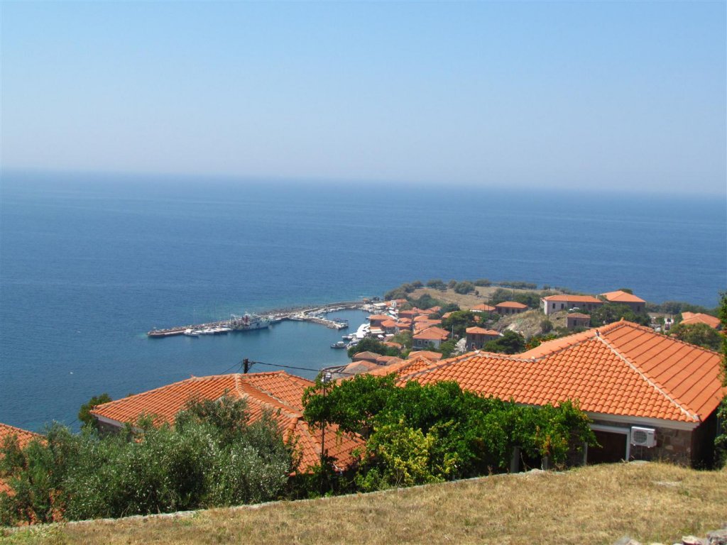 IMG_7941 (Large).JPG