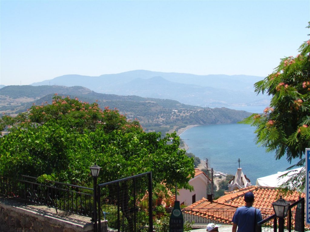 IMG_7943 (Large).JPG