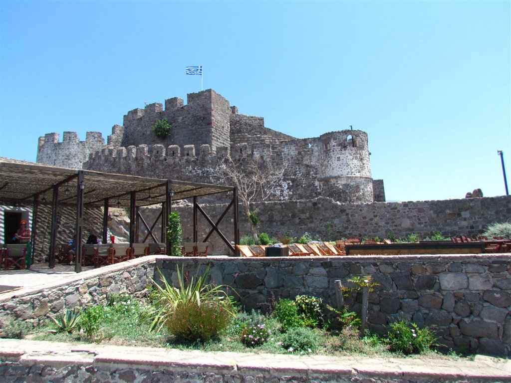 IMG_7944 (Large).JPG