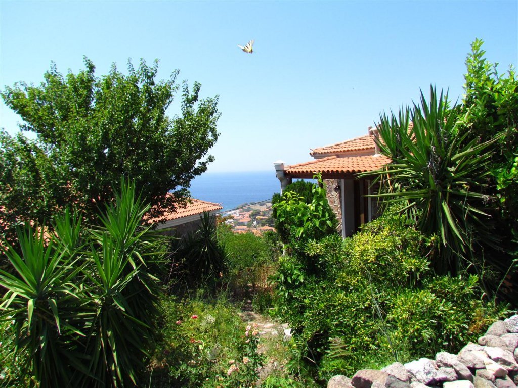 IMG_7945 (Large).JPG