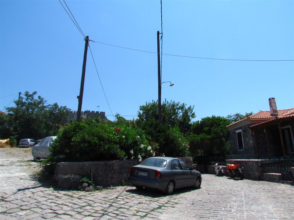 IMG_7948 (Large).JPG