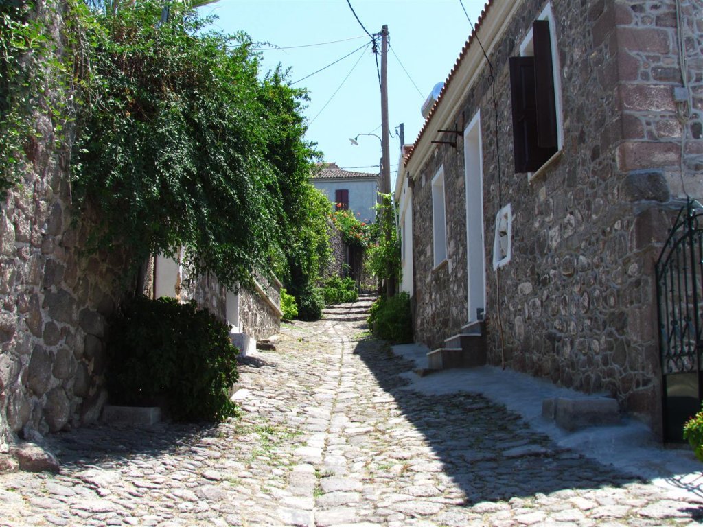 IMG_7953 (Large).JPG