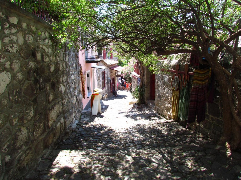 IMG_7958 (Large).JPG