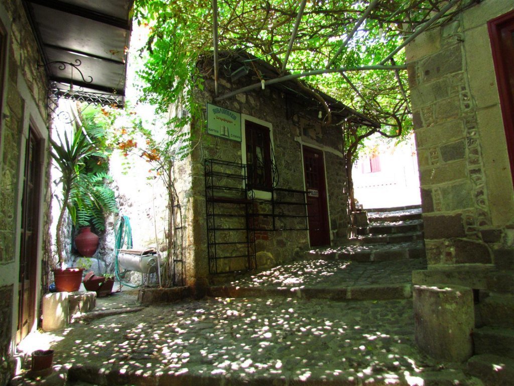 IMG_7960 (Large).JPG