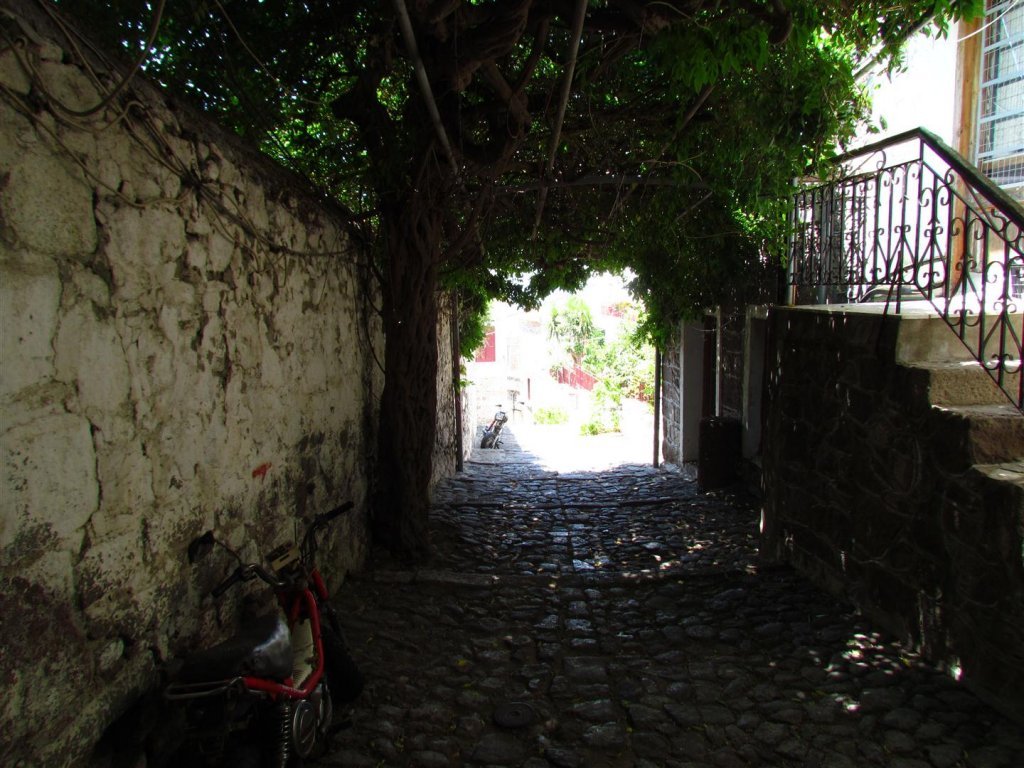 IMG_7961 (Large).JPG