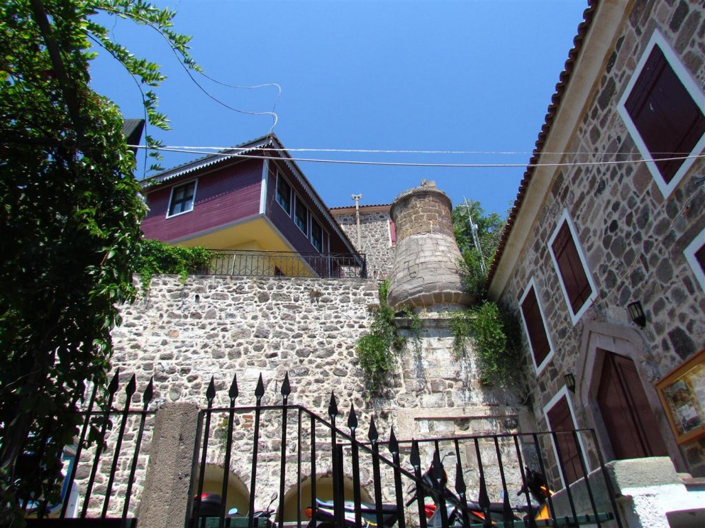 IMG_7968 (Large).JPG