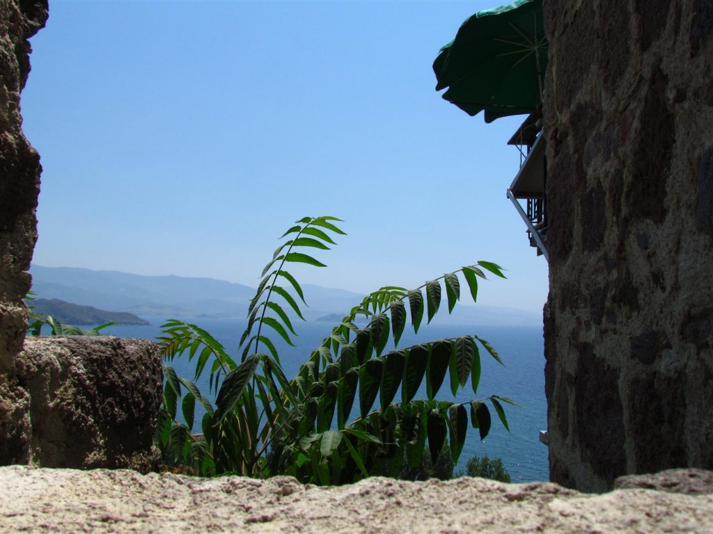 IMG_7975 (Large).JPG