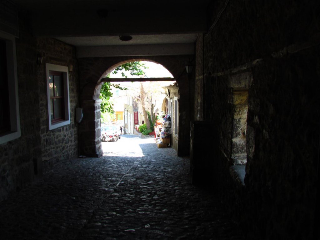 IMG_7976 (Large).JPG