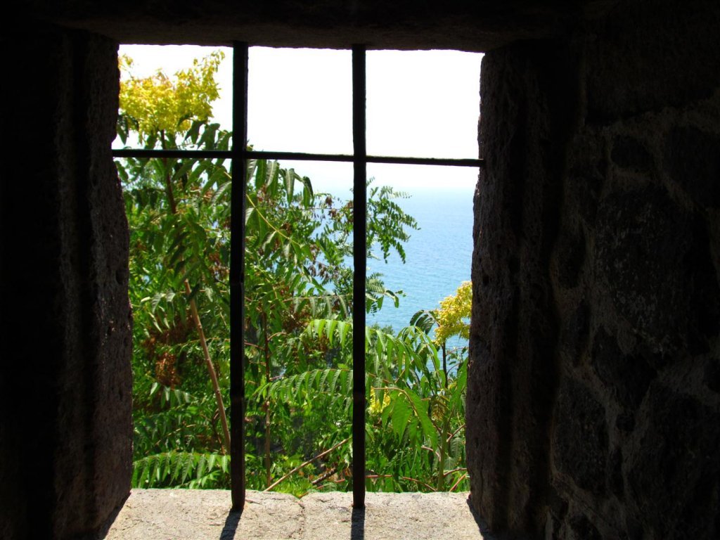 IMG_7978 (Large).JPG