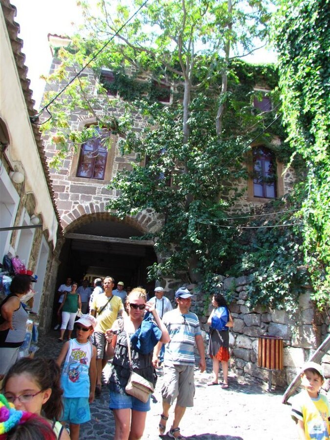 IMG_7988 (Large).JPG