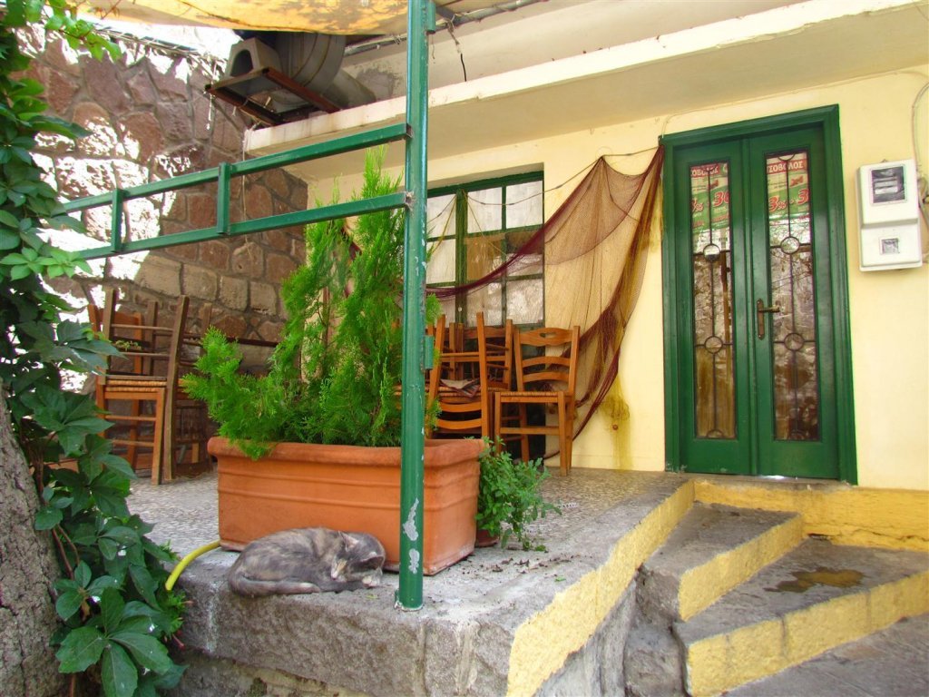 IMG_7991 (Large).JPG