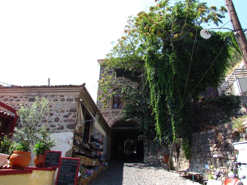 IMG_7992 (Large).JPG