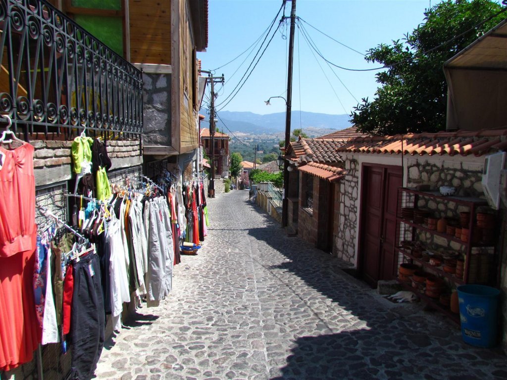 IMG_7994 (Large).JPG