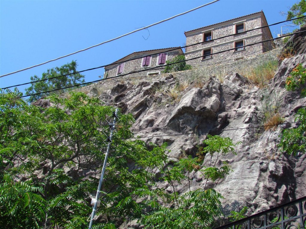 IMG_7995 (Large).JPG