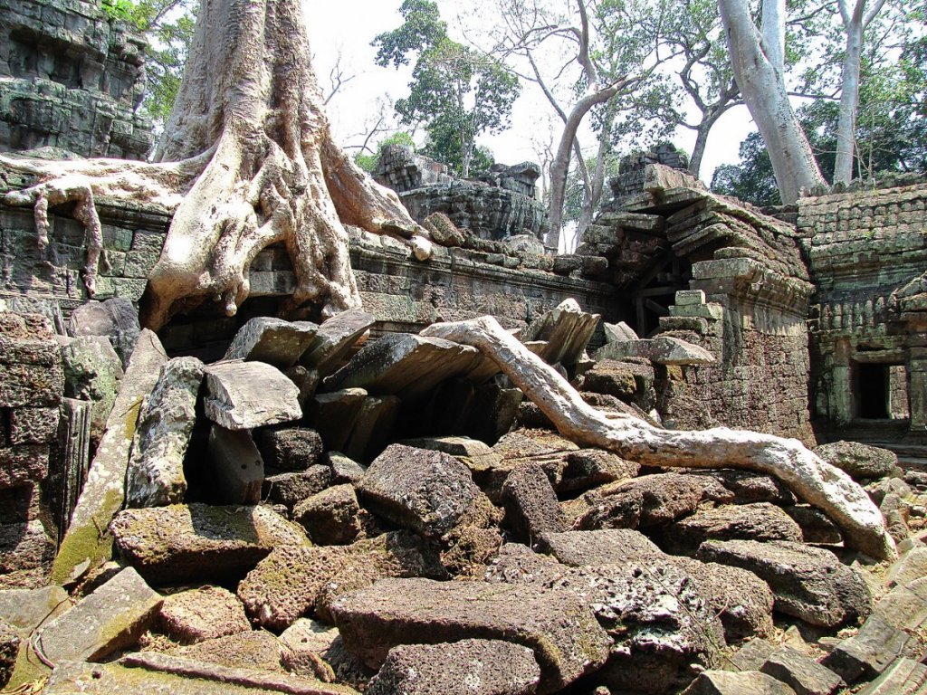 IMG_7996p_1200x900.jpg IMG_7996p_1200x900.jpg