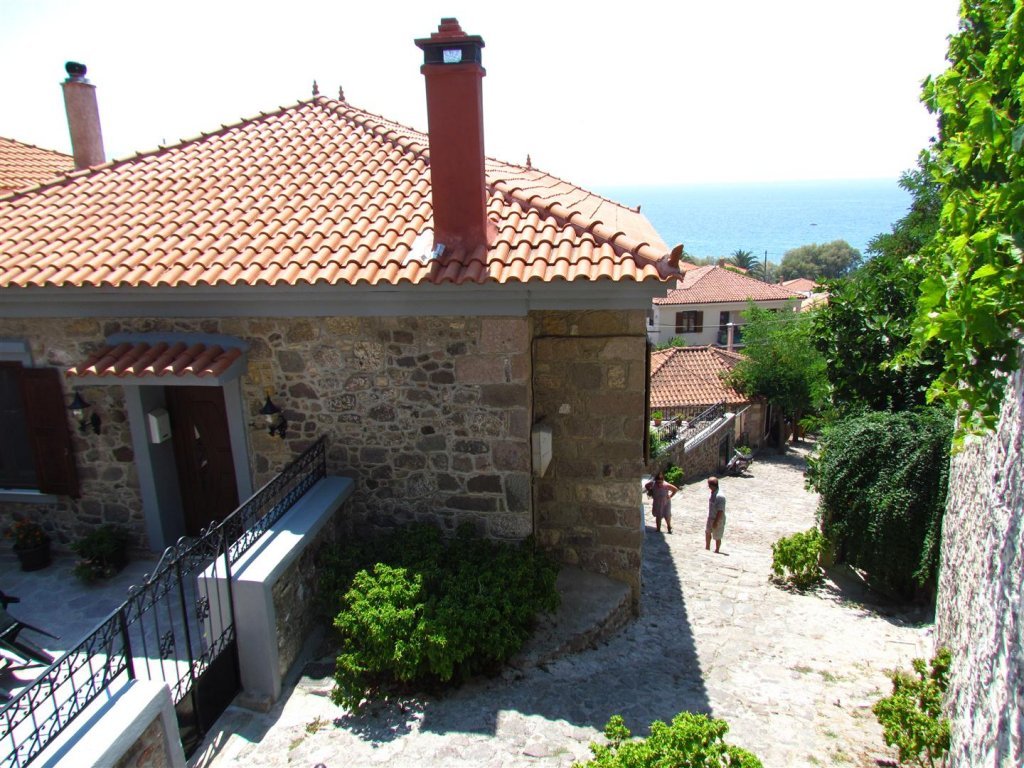 IMG_7997 (Large).JPG