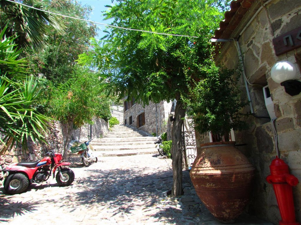 IMG_7999 (Large).JPG