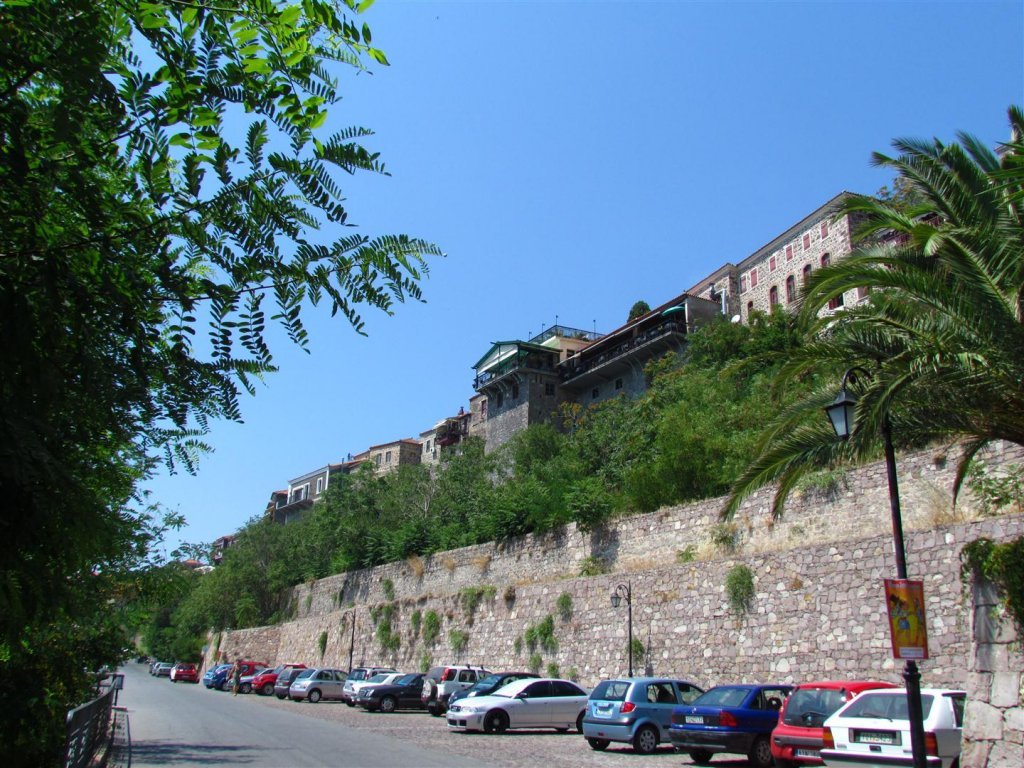 IMG_8001 (Large).JPG