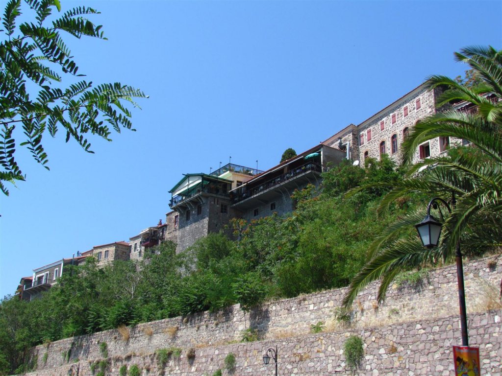 IMG_8002 (Large).JPG