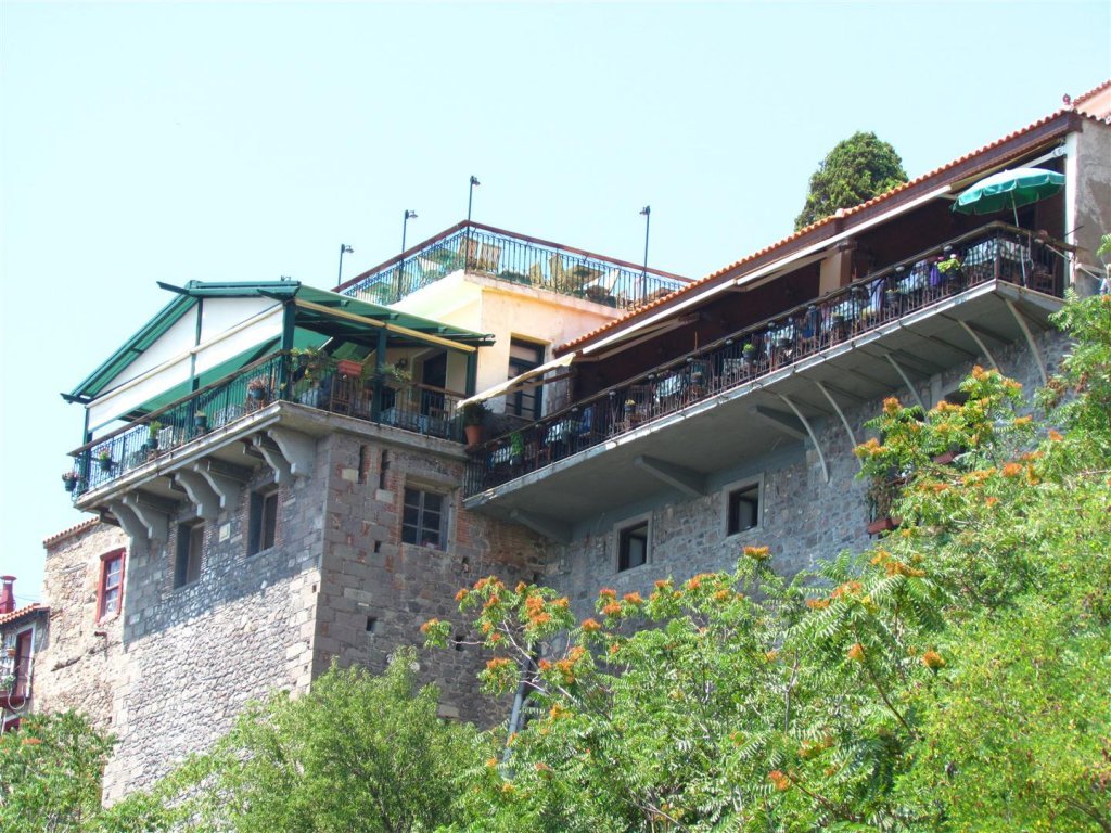 IMG_8004 (Large).JPG