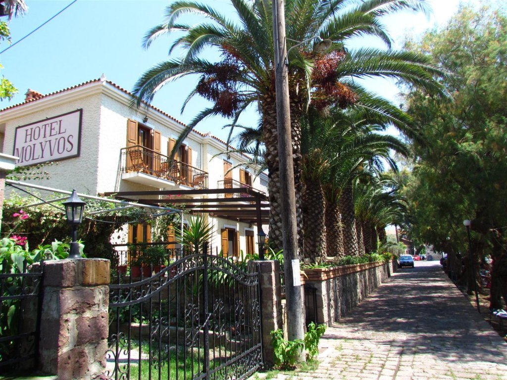 IMG_8005 (Large).JPG