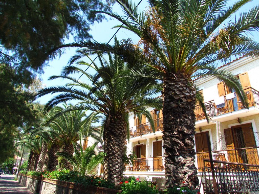 IMG_8007 (Large).JPG