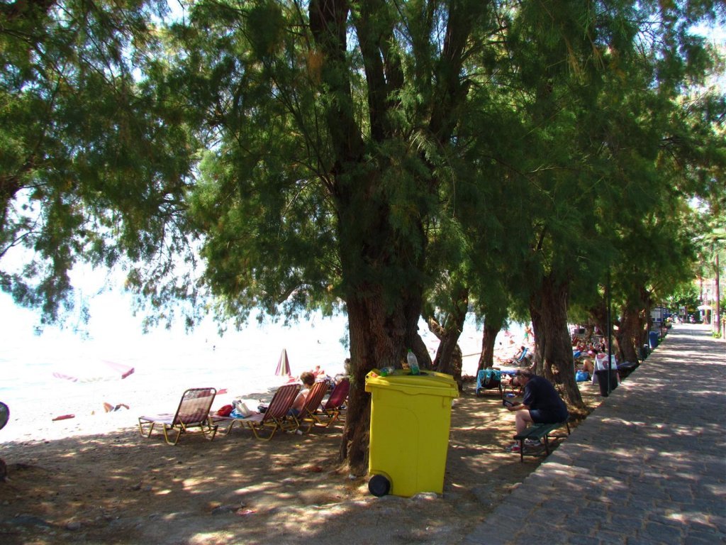 IMG_8008 (Large).JPG