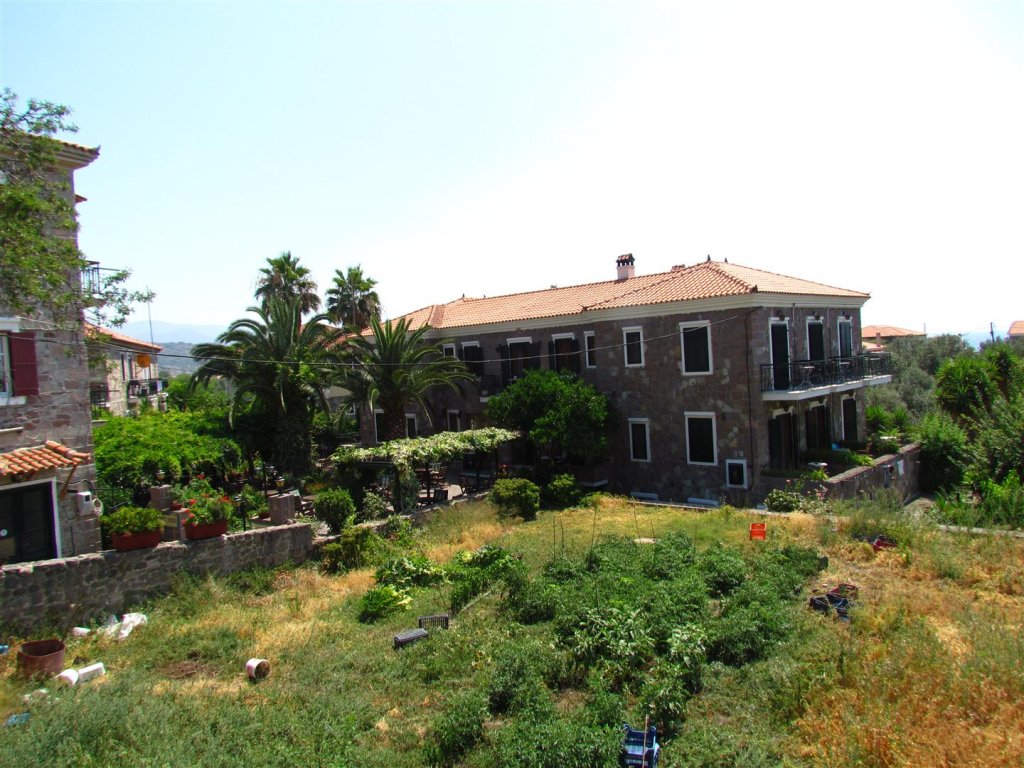 IMG_8010 (Large).JPG