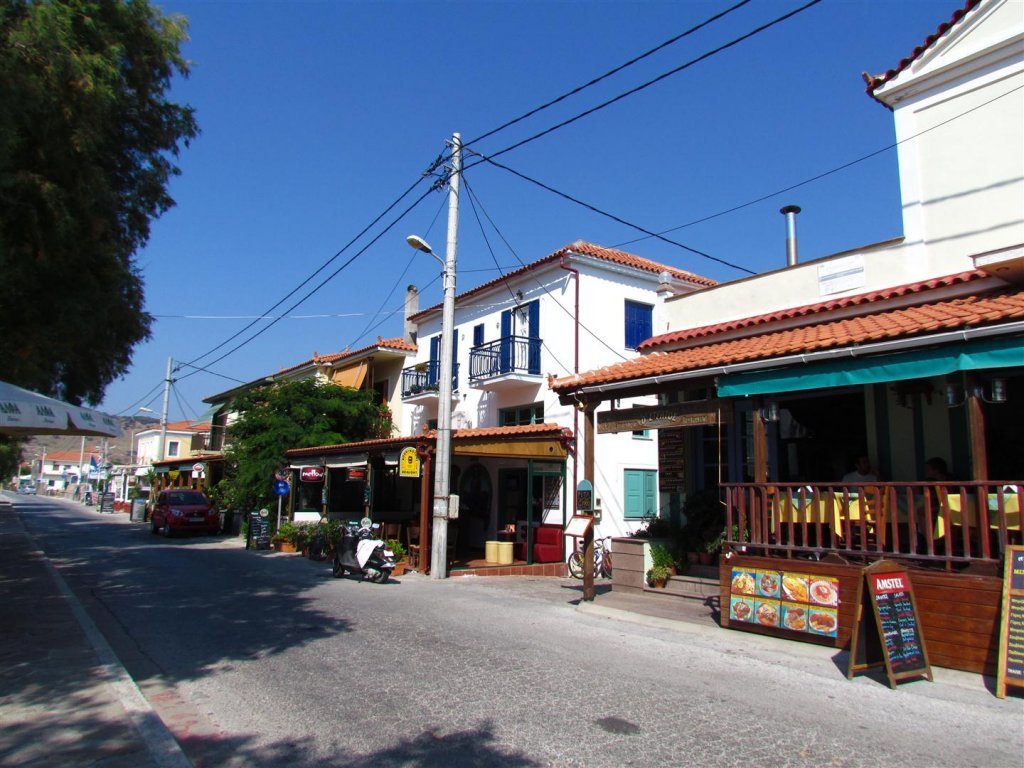 IMG_8011 (Large).JPG