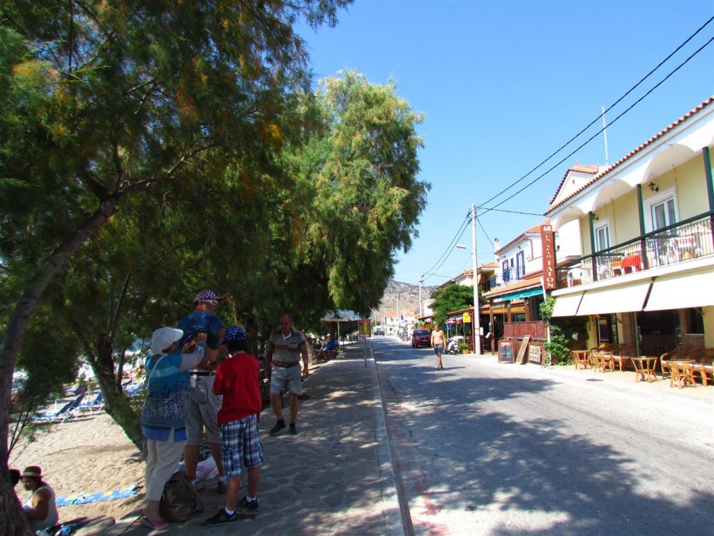 IMG_8012 (Large).JPG