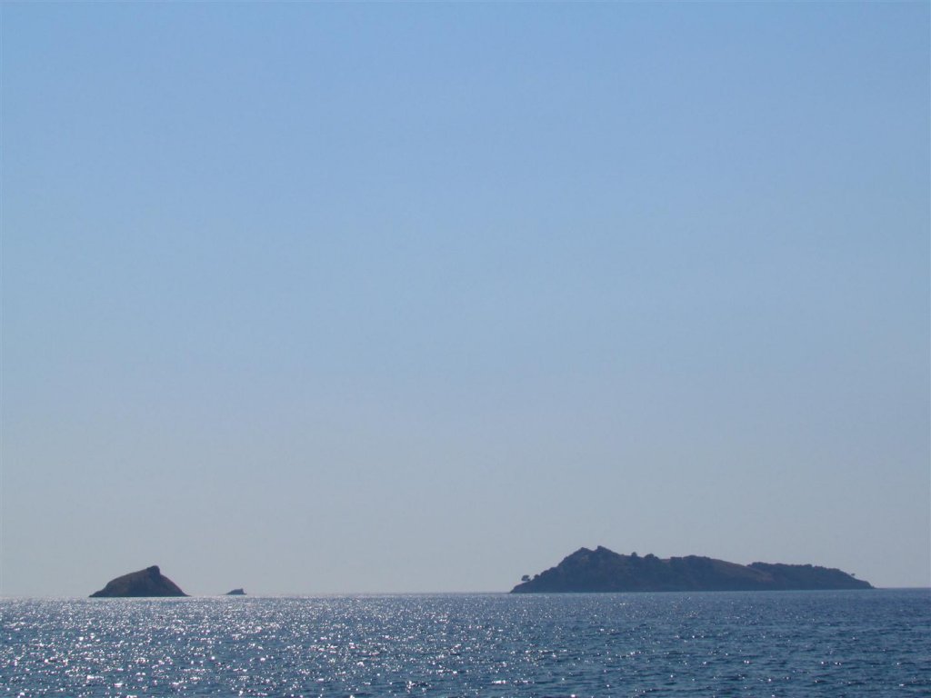 IMG_8014 (Large).JPG