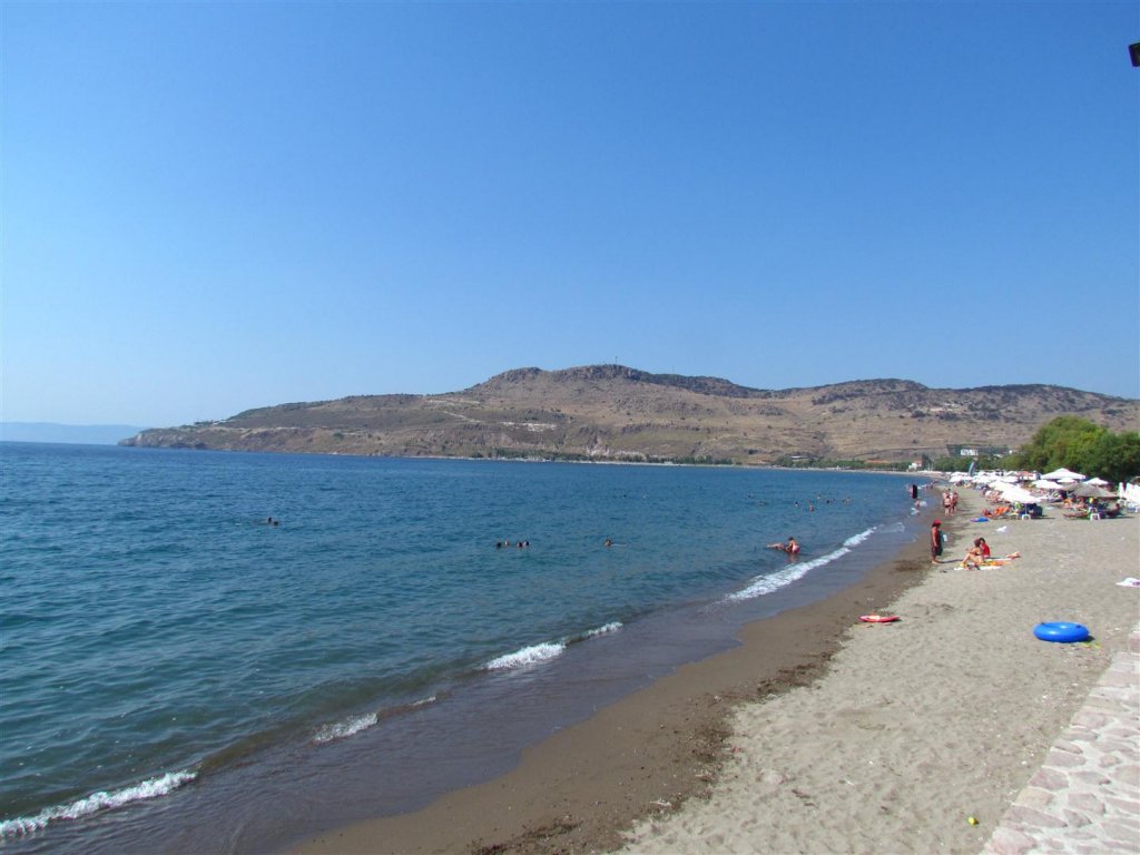 IMG_8016 (Large).JPG