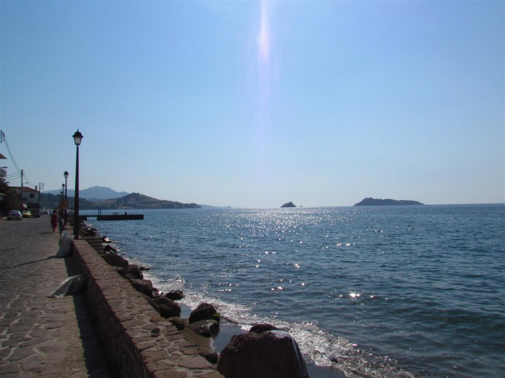 IMG_8017 (Large).JPG