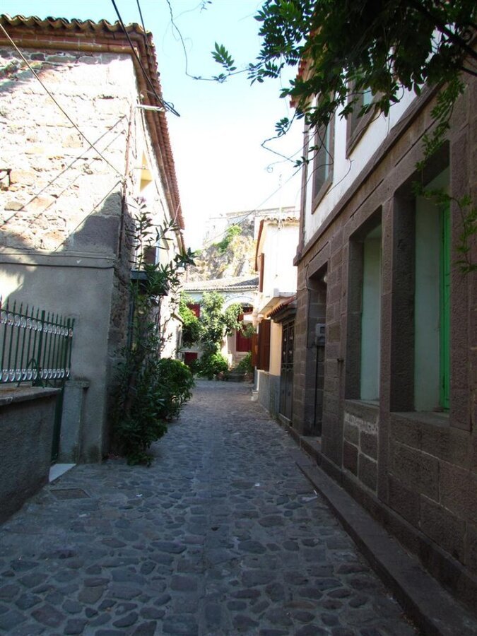 IMG_8020 (Large).JPG