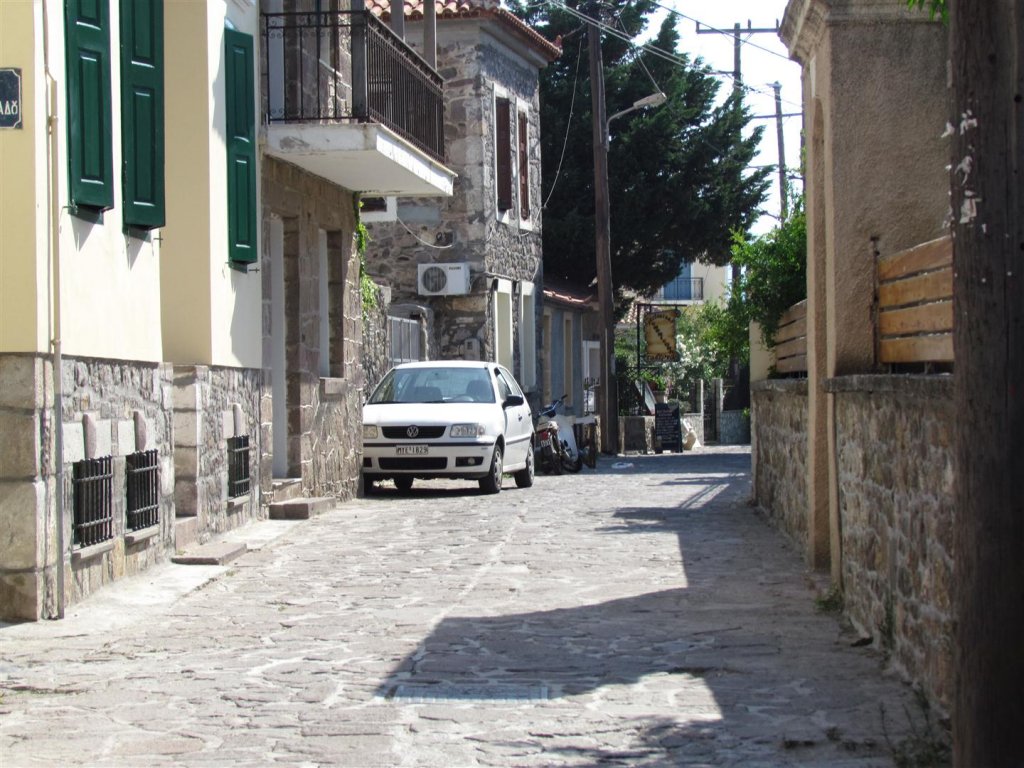 IMG_8031 (Large).JPG