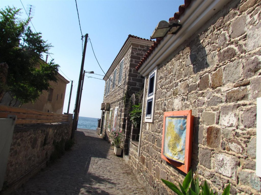 IMG_8038 (Large).JPG