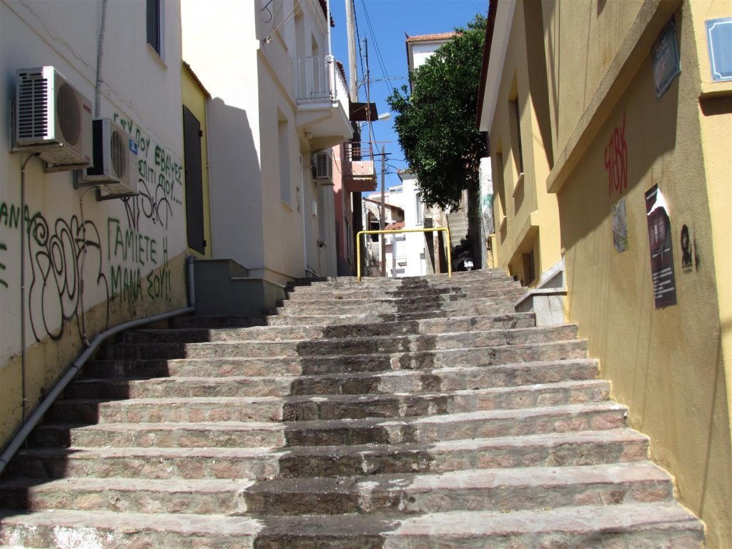 IMG_8087 (Large).JPG