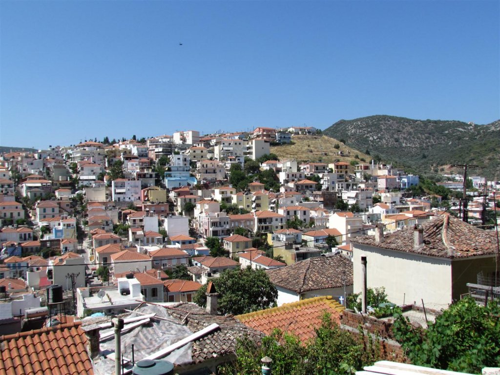 IMG_8106 (Large).JPG