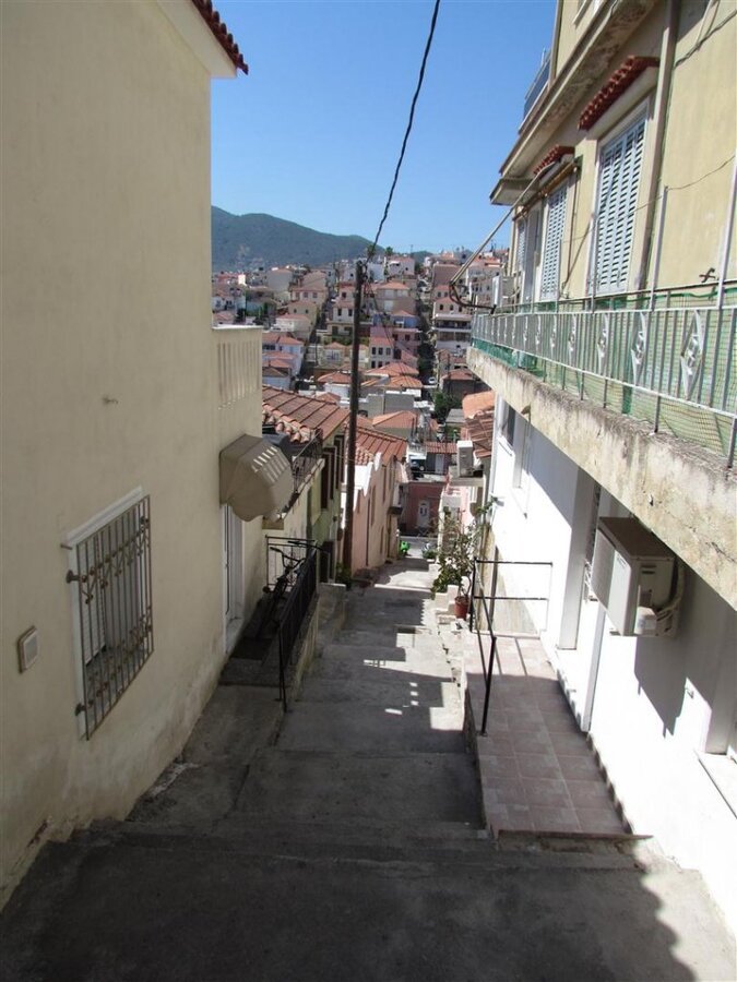 IMG_8111 (Large).JPG